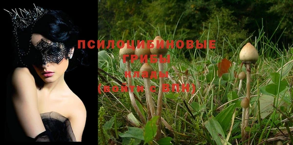 шишки Алзамай