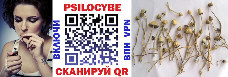 Псилоцибиновые грибы GOLDEN TEACHER закладка Пермь